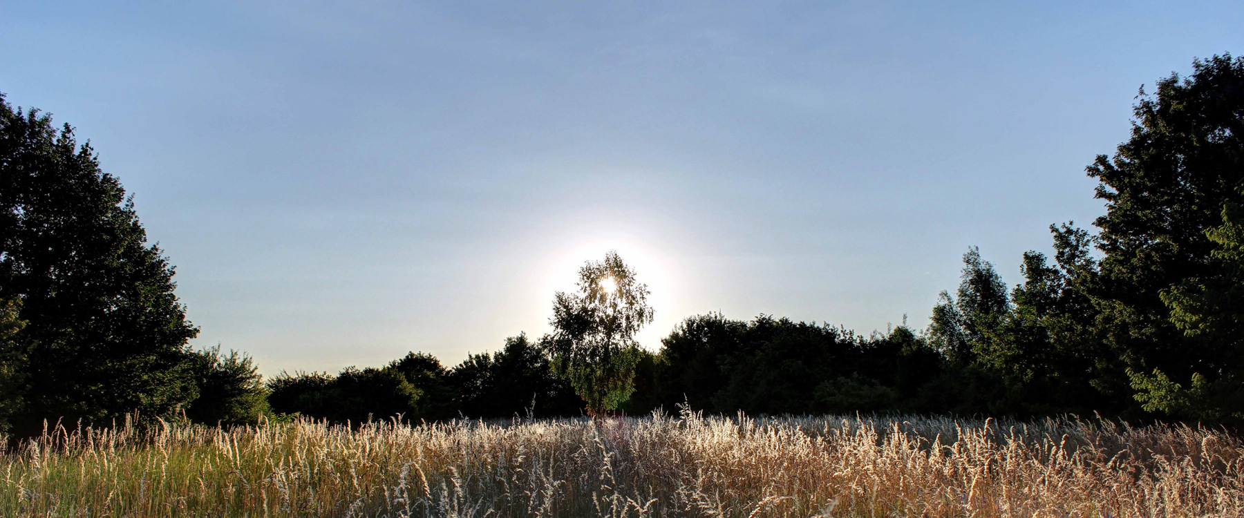 herzog-header